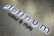 Platinum Colour & Style
