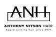Anthony Nitson Hair