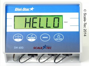 062SW600LARGE