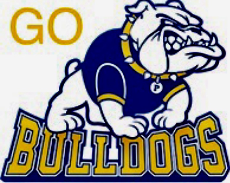 The Carthage Bulldogs defeat the Chapel Hill Bulldogs 25 to 17 ScoreStream