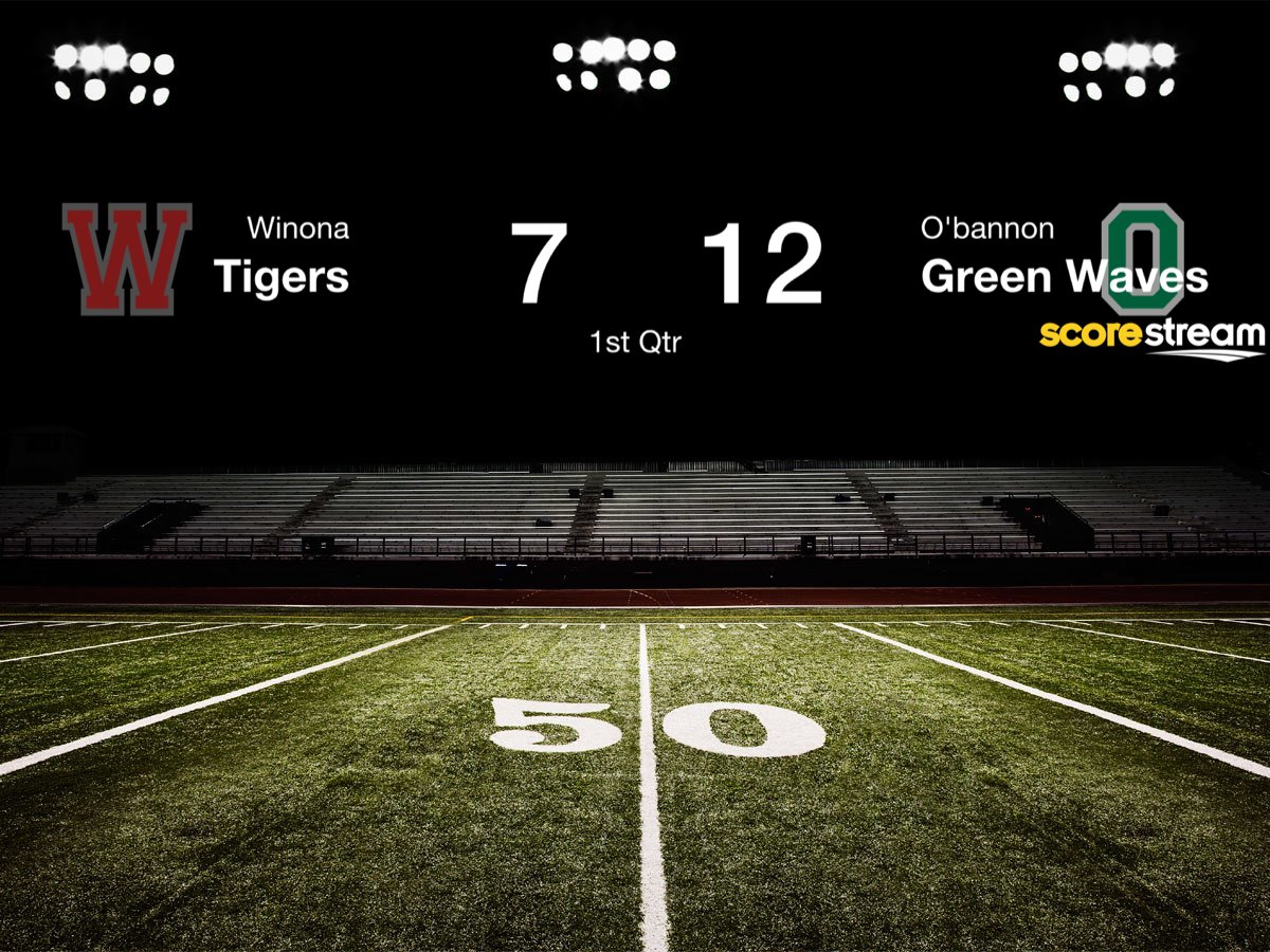 Winona Baseball posted a picture and said The green wave with a 80