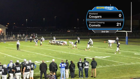 Westland cougars