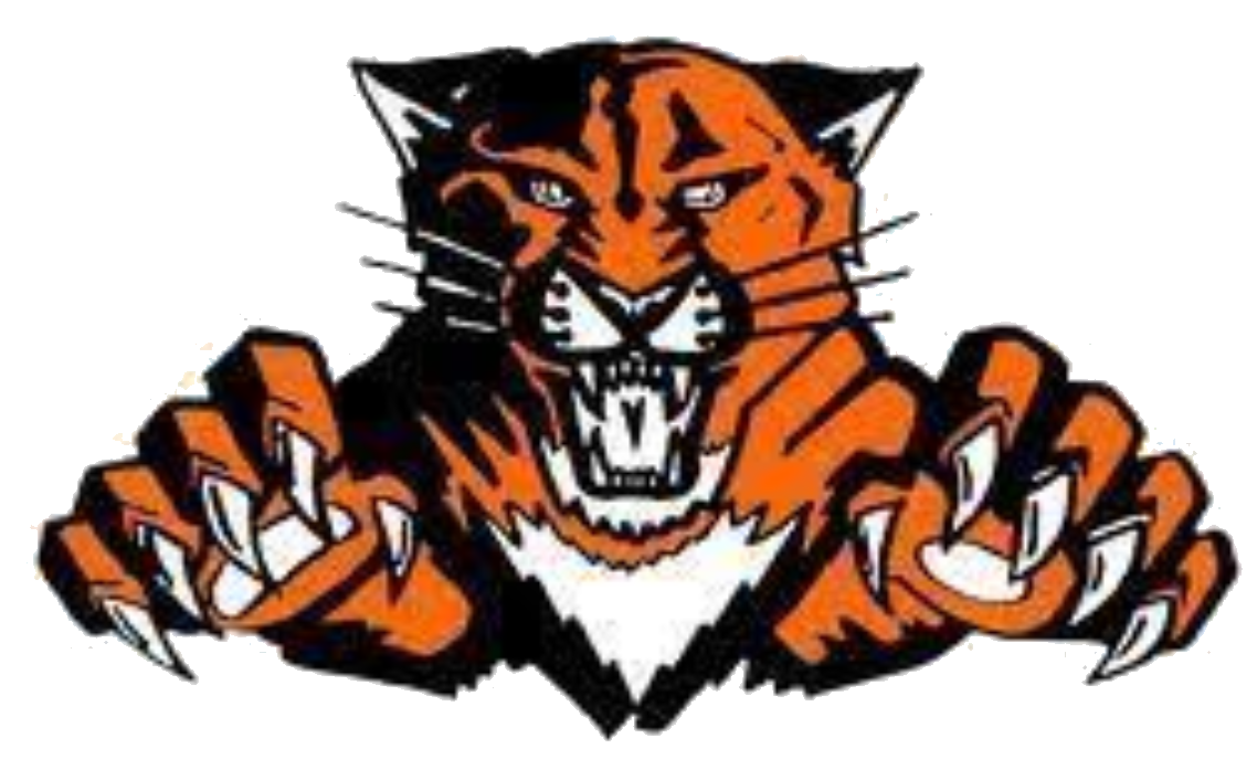 The Plentywood Wildcats ScoreStream