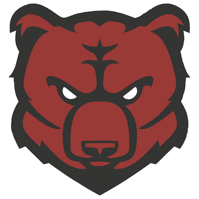 bunker hill bears football helmet Baylor Riddell Speed Mini Bunker Hill Bears Football (Claremont,