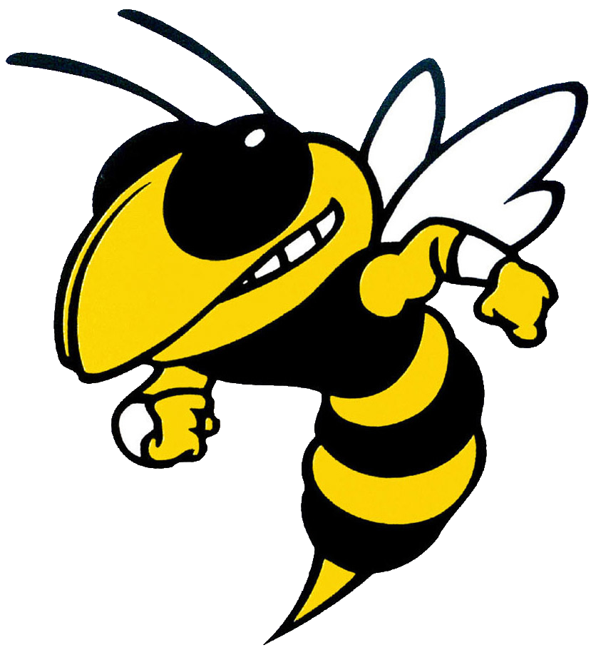 the-hayesville-yellow-jackets-scorestream