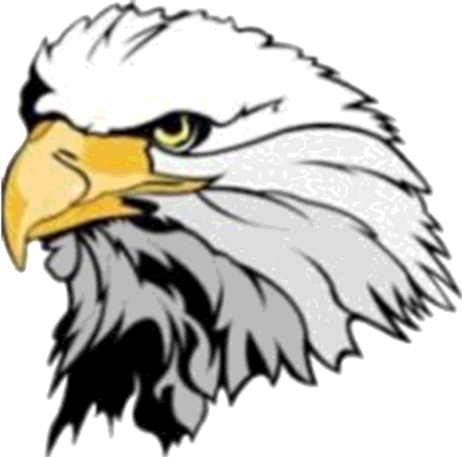 The Enderlin Eagles ScoreStream