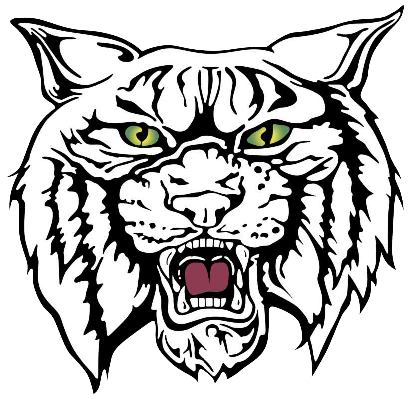 The North ShorePlaza Wildcats ScoreStream