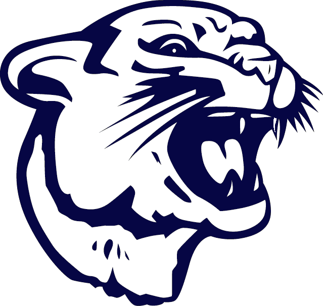 The BancroftRosalie Panthers ScoreStream