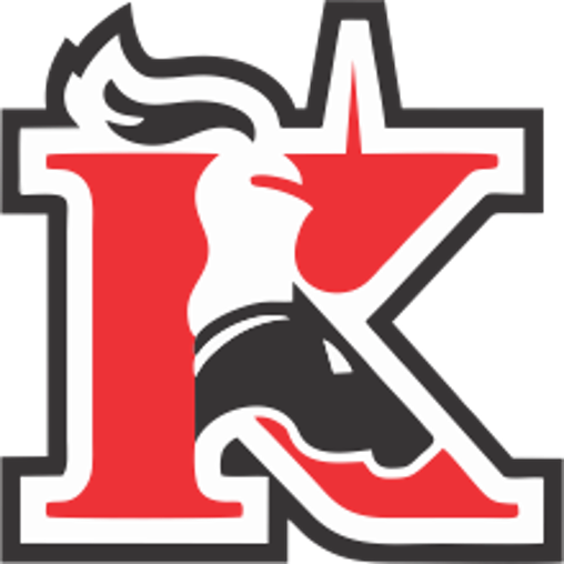 The Homer Knights ScoreStream