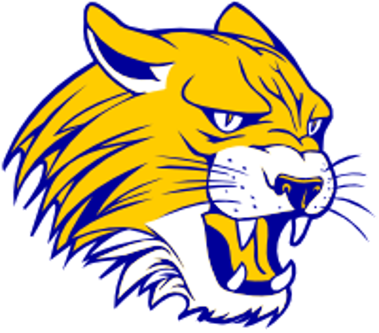 The St Paul Wildcats ScoreStream