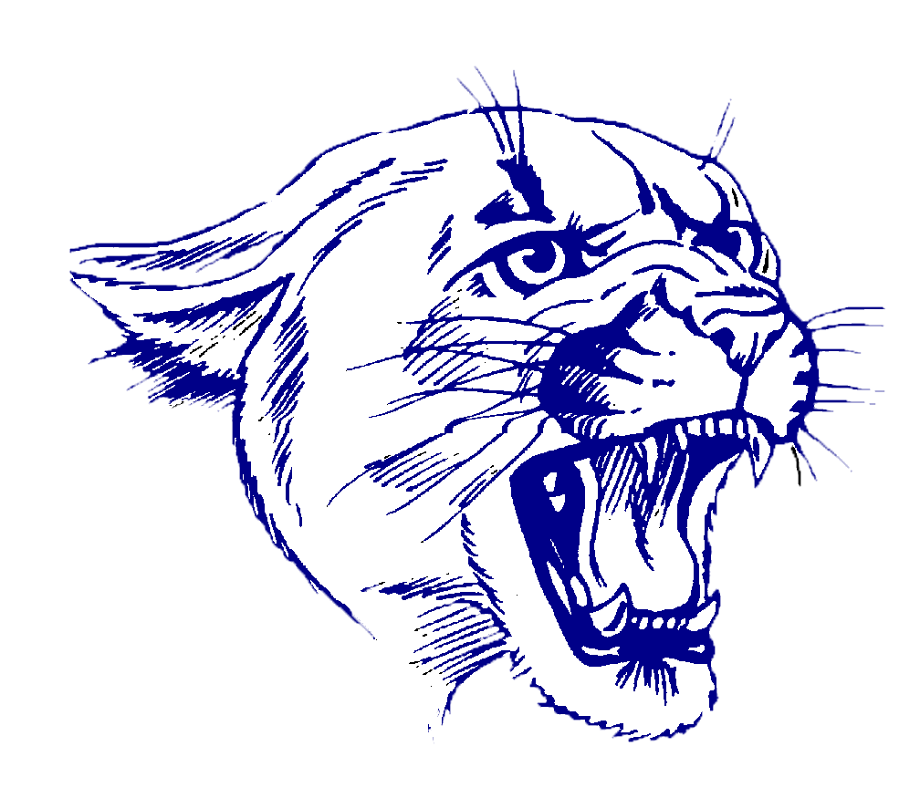 Jal Nm Public Schools