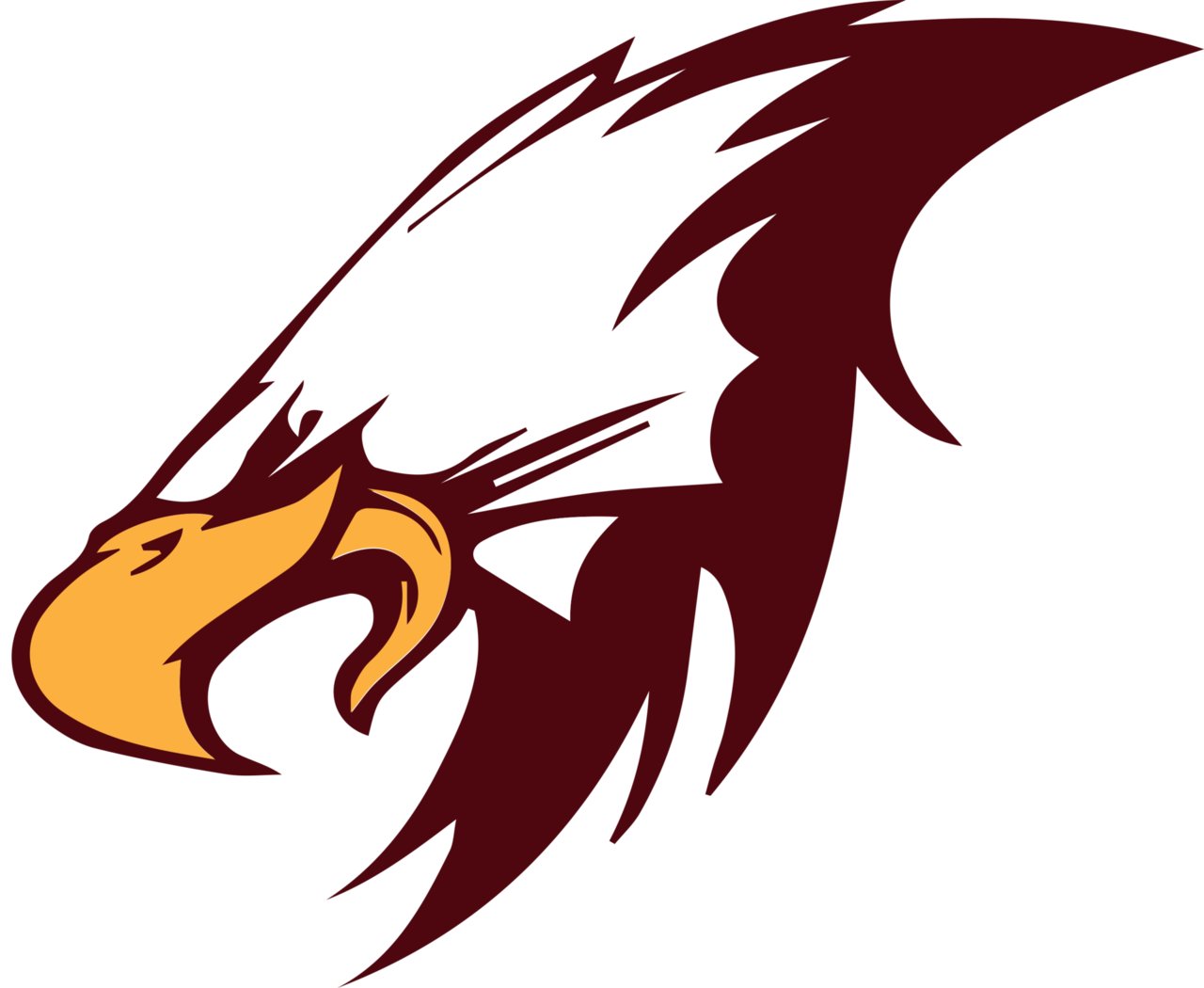 The WaylandCohocton Eagles ScoreStream