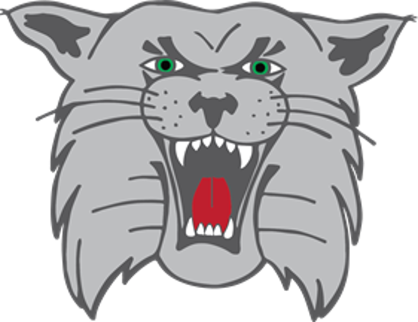 The Canton South Wildcats ScoreStream