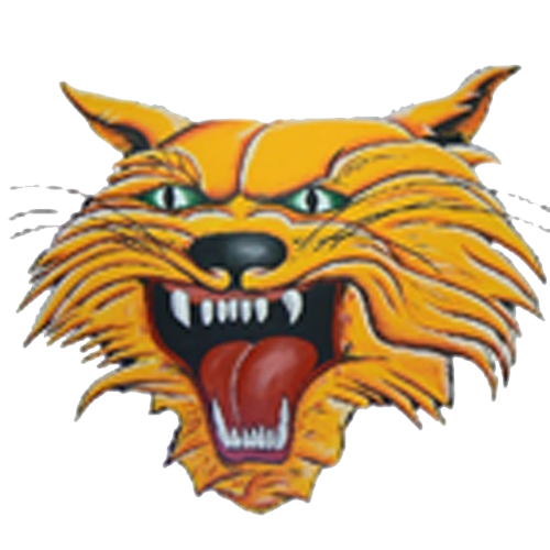 The Kalida Wildcats ScoreStream