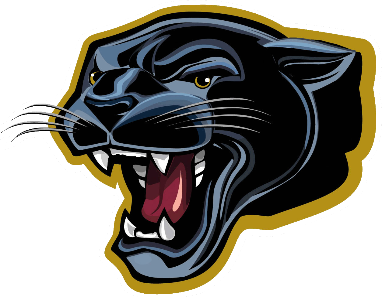 The Parkway Panthers ScoreStream