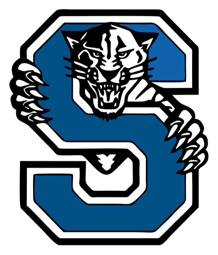 The Stryker Panthers ScoreStream