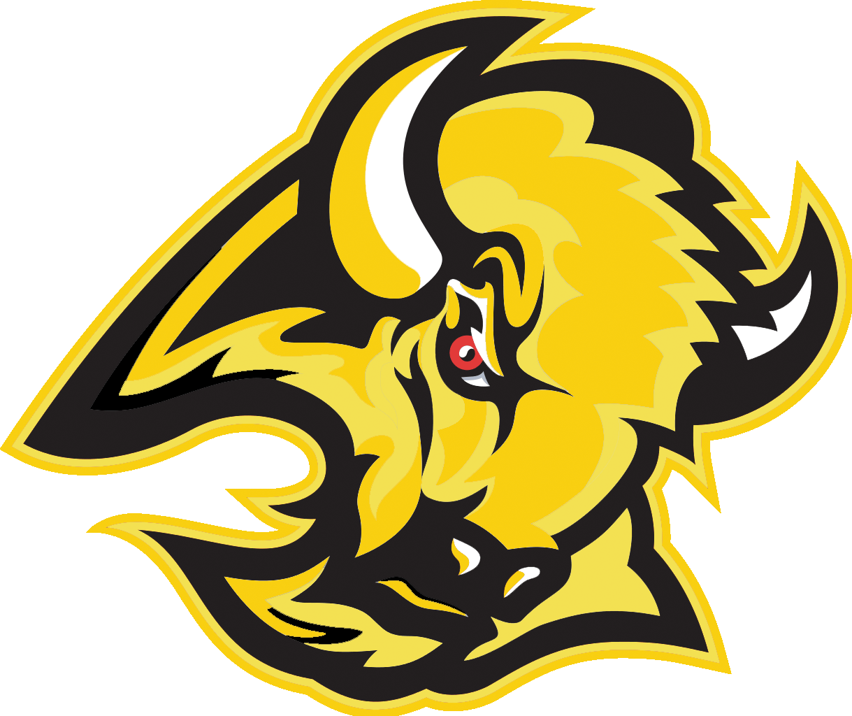 The Hugo Buffaloes ScoreStream