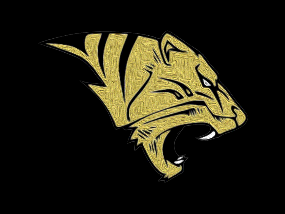 The Ardmore Tigers ScoreStream