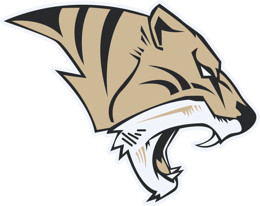 The Ardmore Tigers ScoreStream