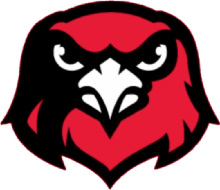 The Hamburg Hawks - ScoreStream