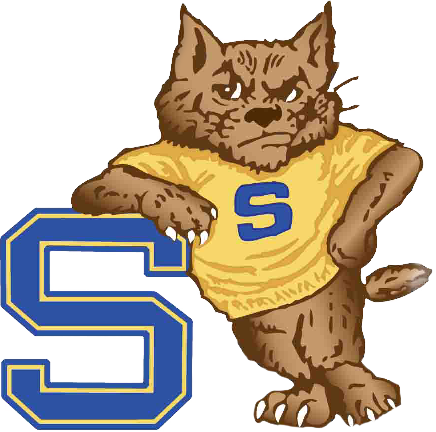 The Shenango Wildcats ScoreStream