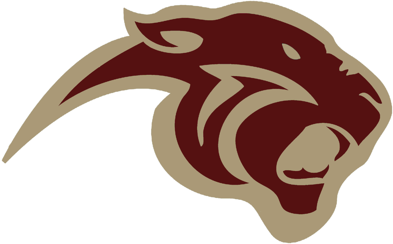 The Pelion Panthers ScoreStream