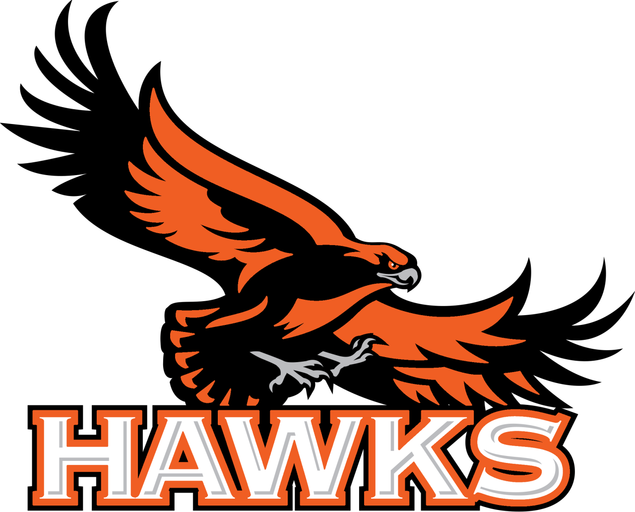 The Canistota Hawks ScoreStream