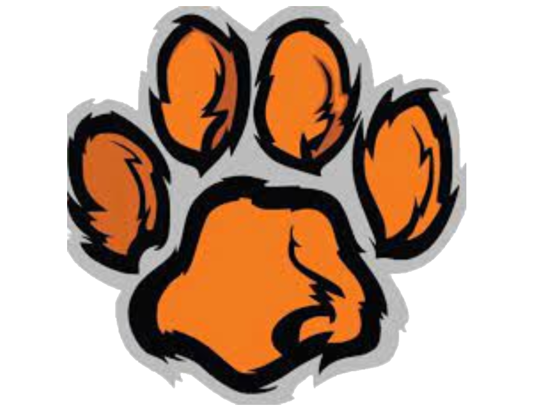 The Ipswich Tigers ScoreStream