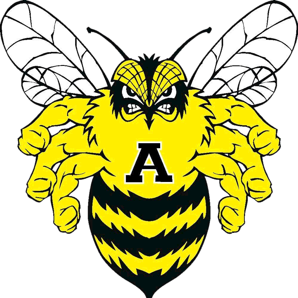 The Little River Academy Bumblebees ScoreStream