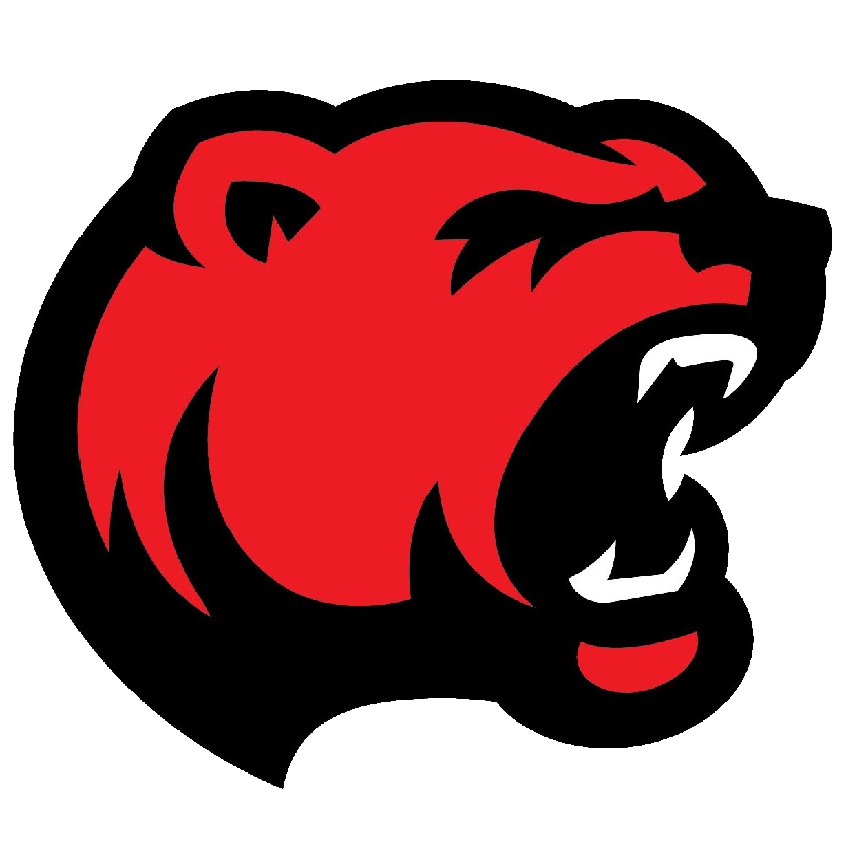 The Baird Bears ScoreStream