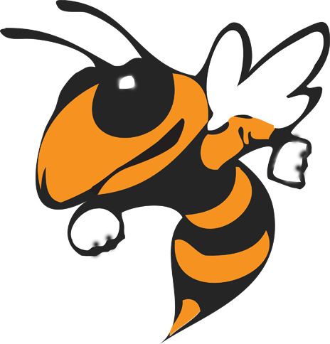 The Elysian Fields Yellowjackets Scorestream
