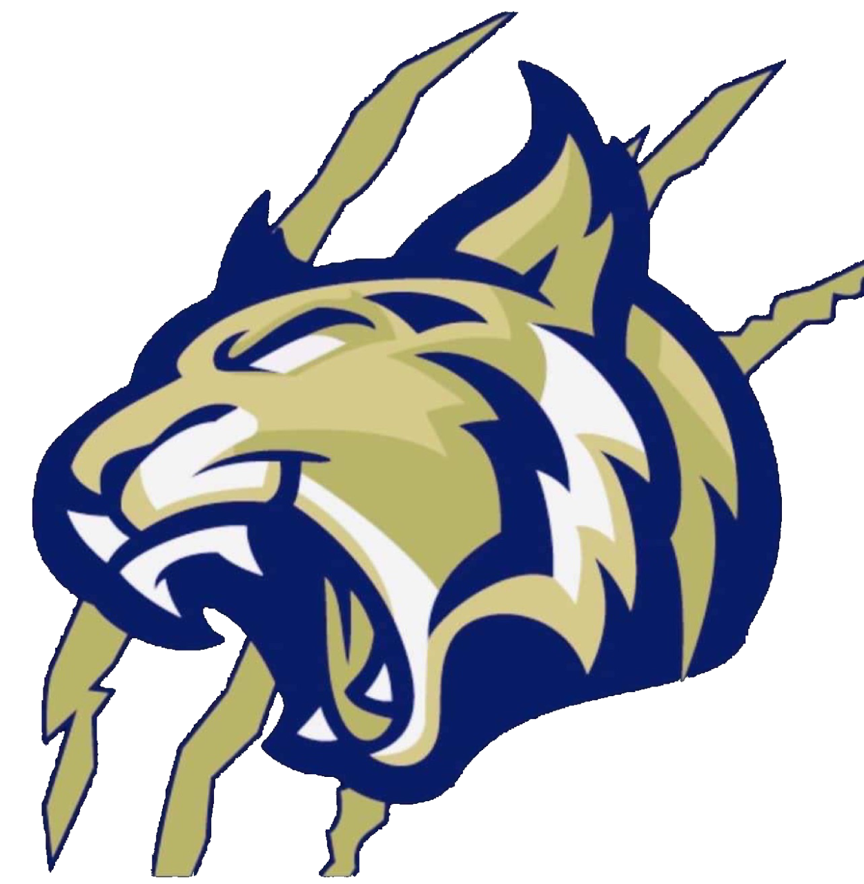 The Fabens Wildcats ScoreStream