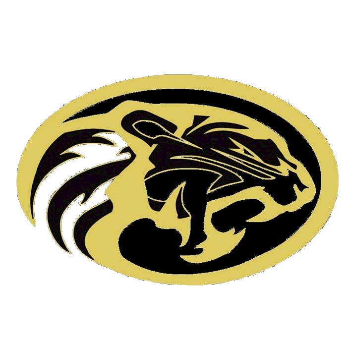 The McLean Tigers ScoreStream