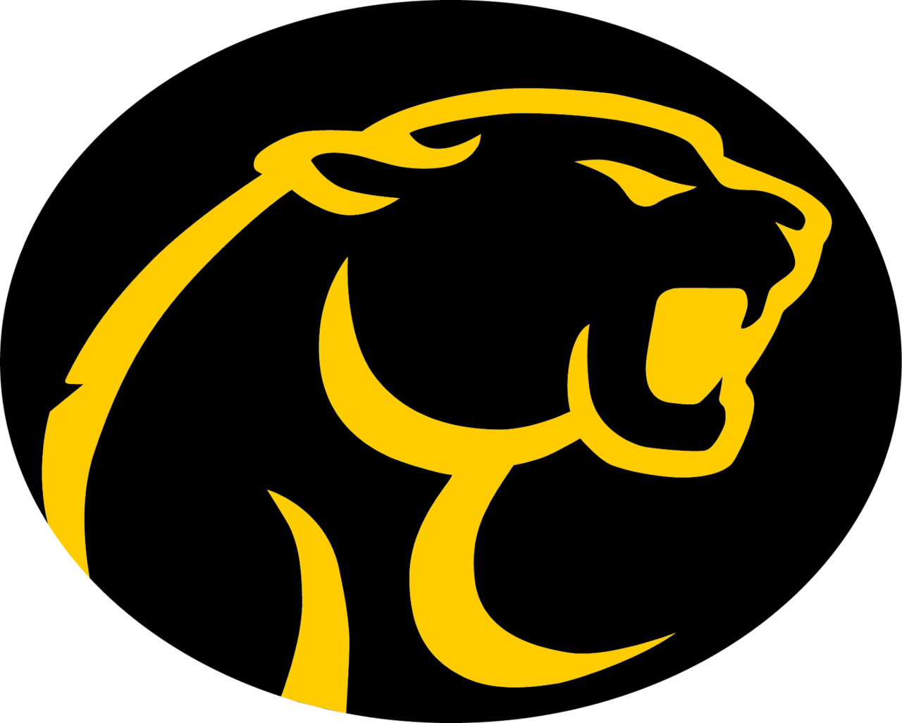 The RosebudLott Cougars ScoreStream