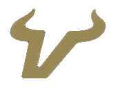 Vega Logo