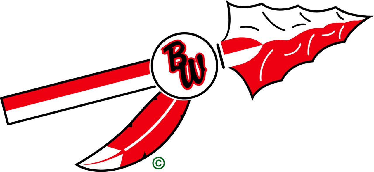 The BaldwinWoodville Blackhawks ScoreStream