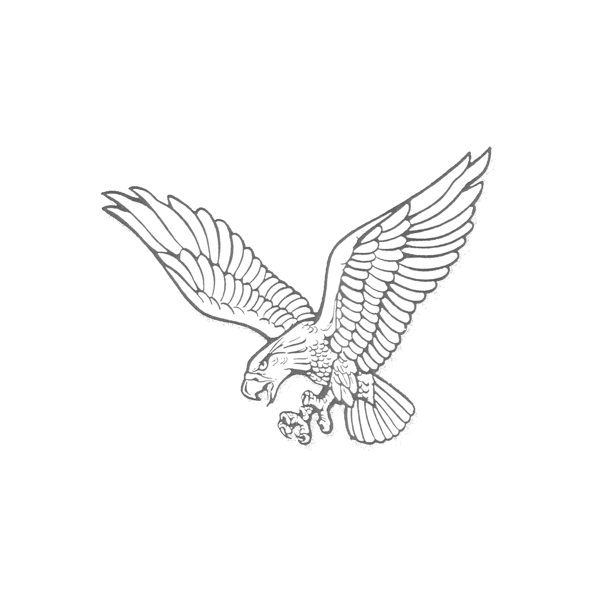 The Hustisford Falcons ScoreStream