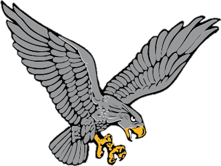 The Hustisford Falcons ScoreStream