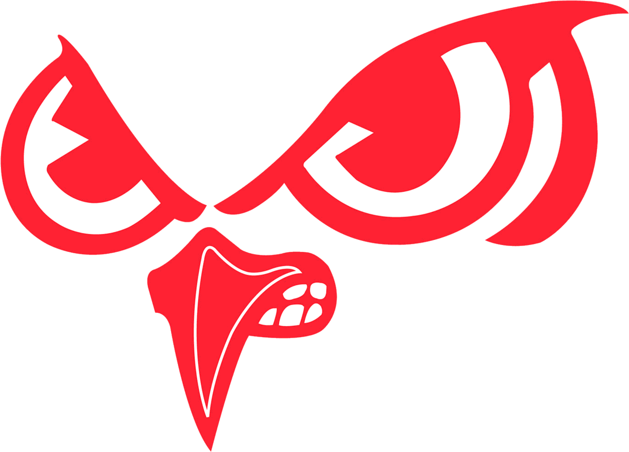 The Slinger Owls ScoreStream