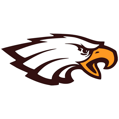 The Solon Springs Eagles ScoreStream