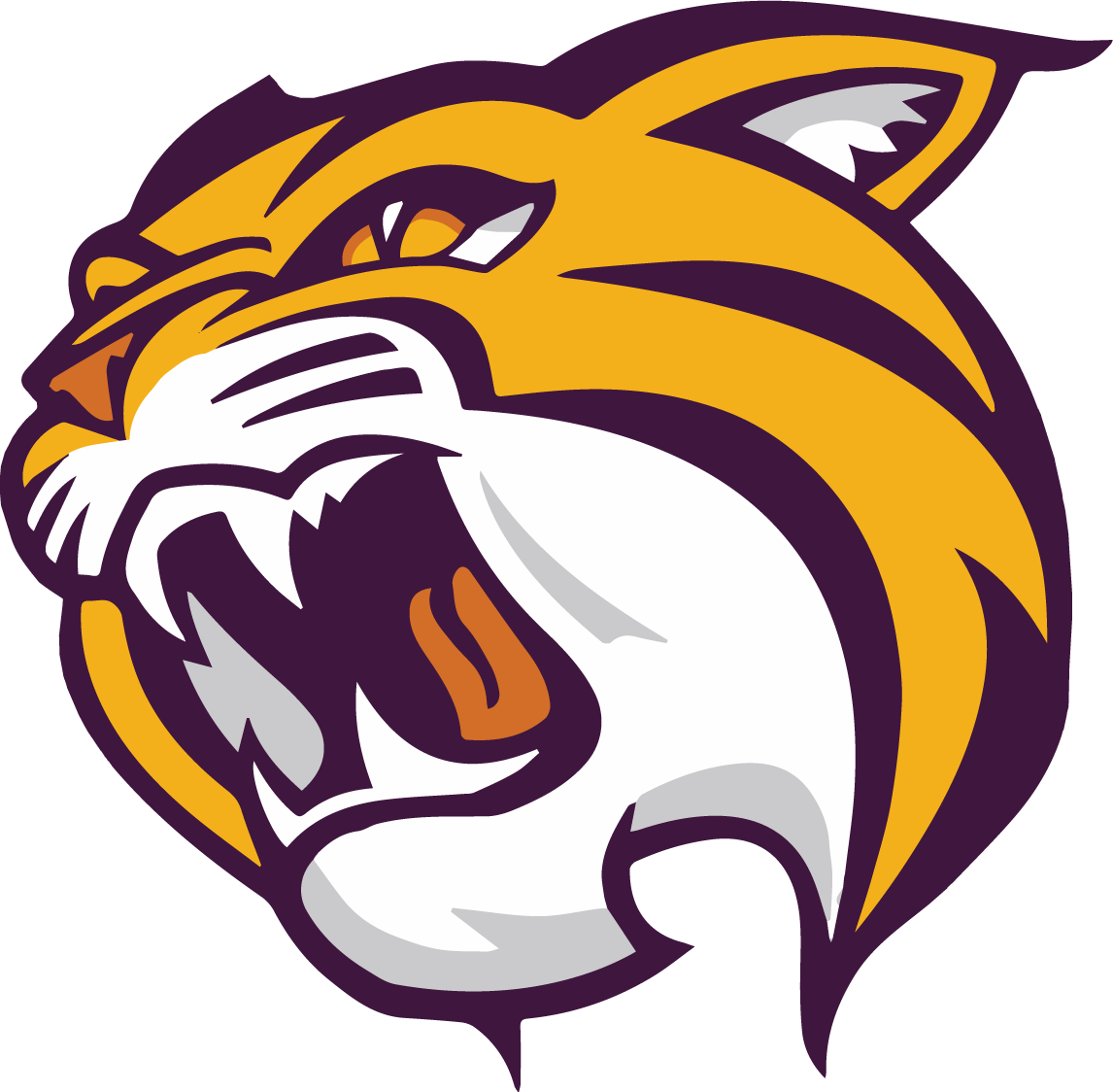 The Wild Rose Wildcats ScoreStream