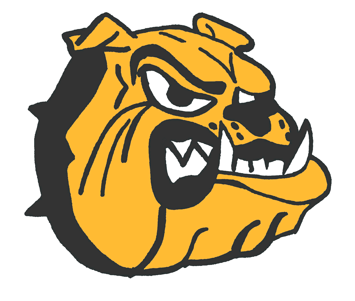 The Williams Bay Bulldogs ScoreStream