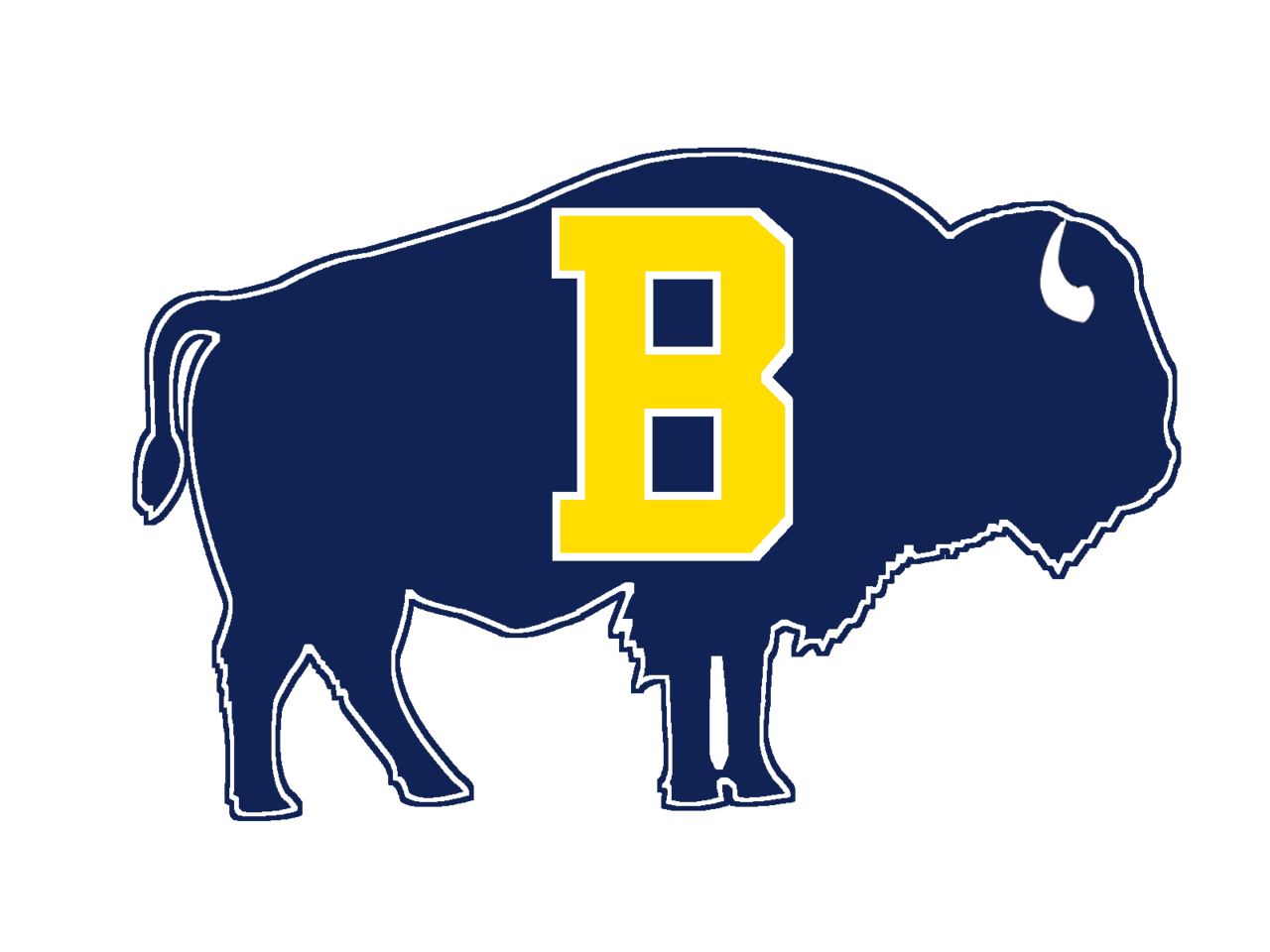 The Buffalo Bison ScoreStream