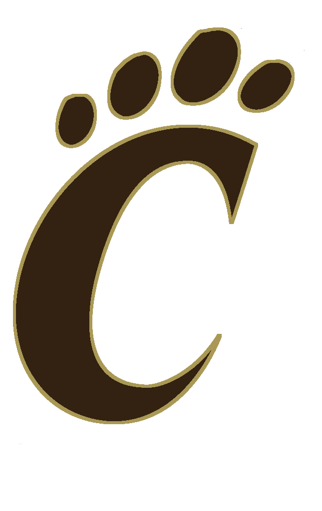 Lincoln cougar Lincoln cougar