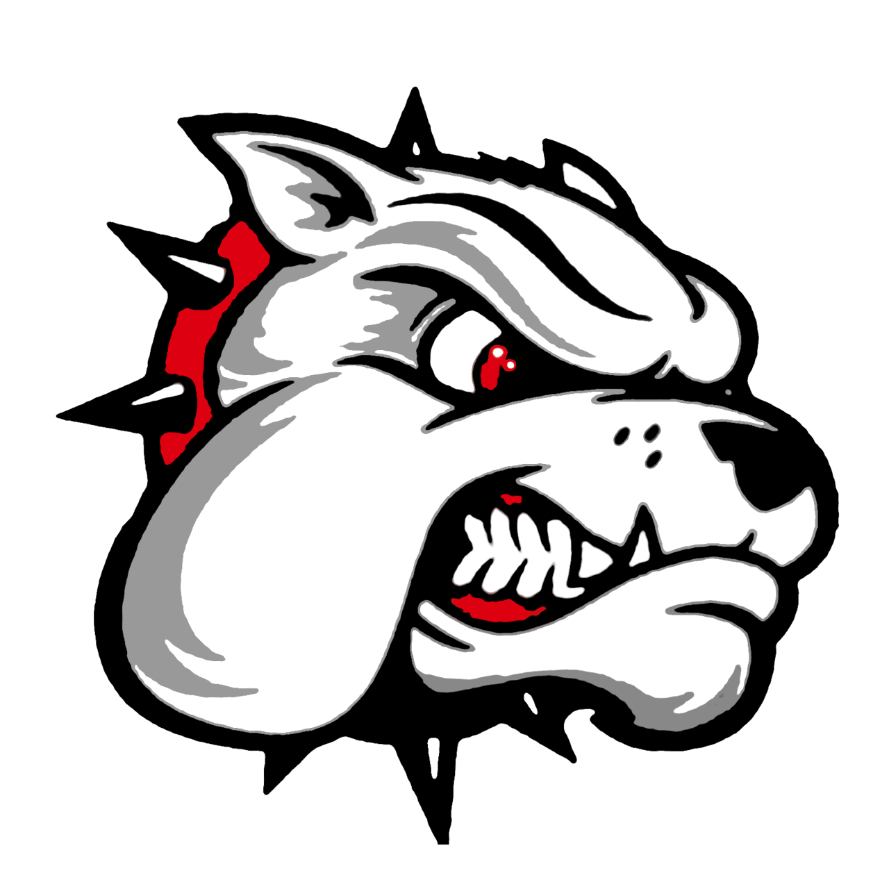 The Tygarts Valley Bulldogs ScoreStream
