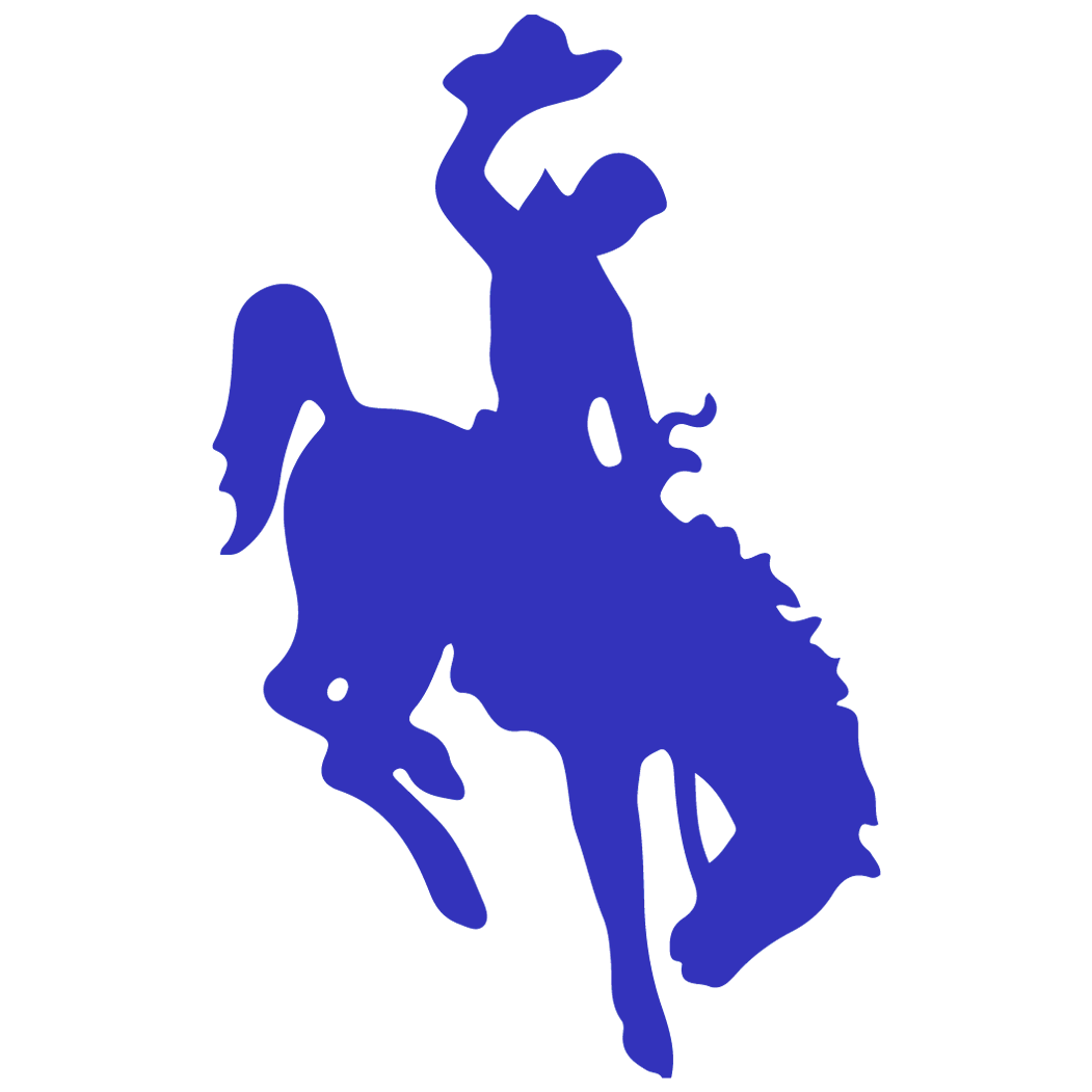 The Kaycee Buckaroos ScoreStream