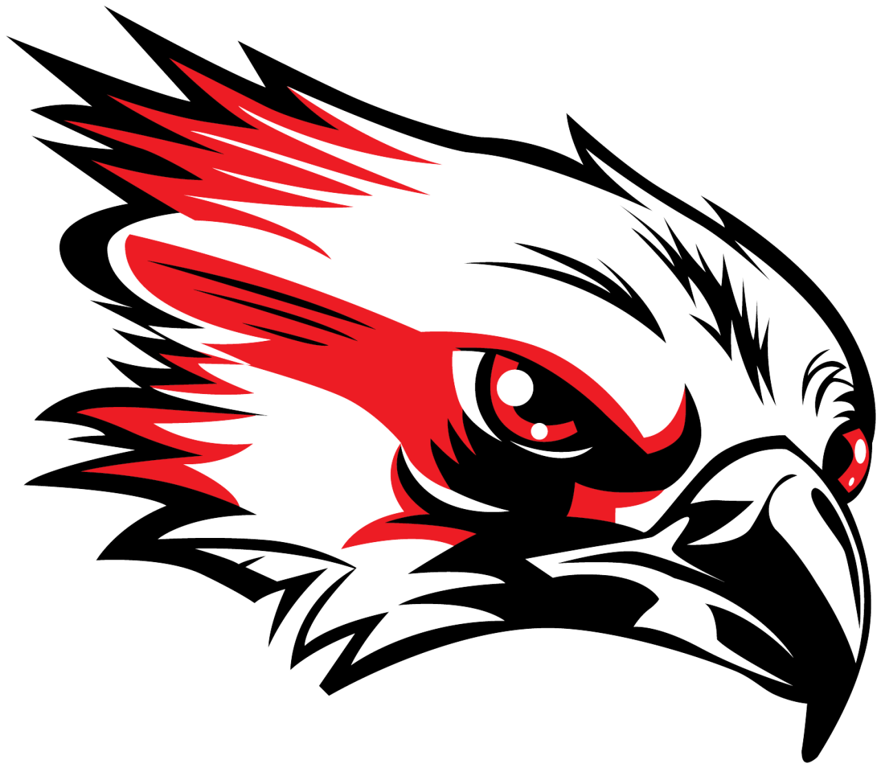 The Mason City RiverHawks ScoreStream