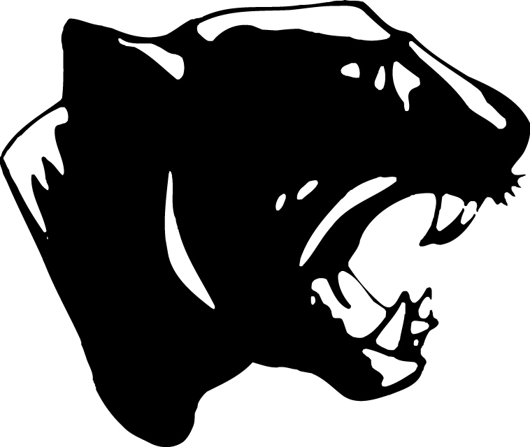 the logan magnolia panthers scorestream