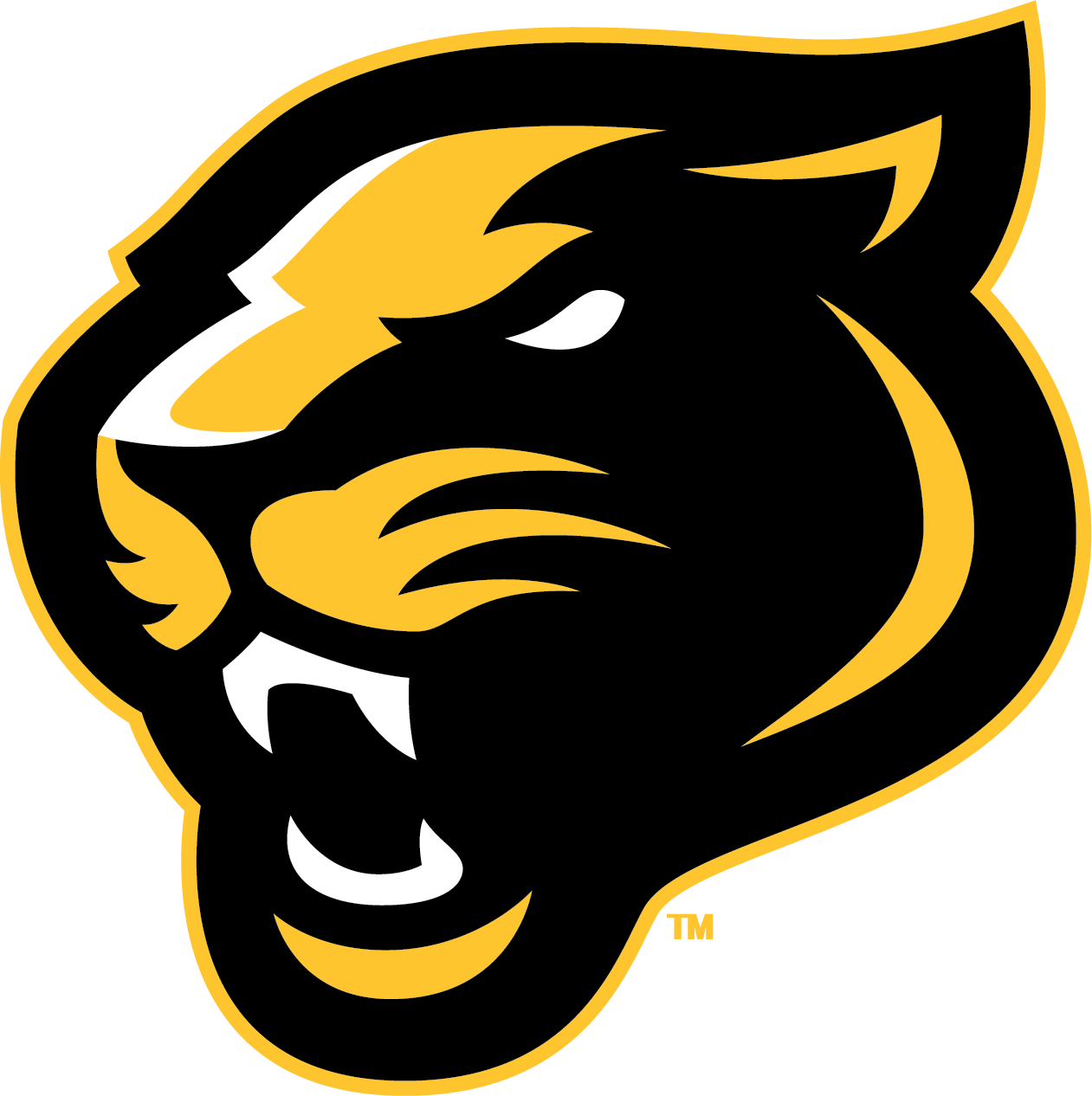 The Knoxville Panthers ScoreStream