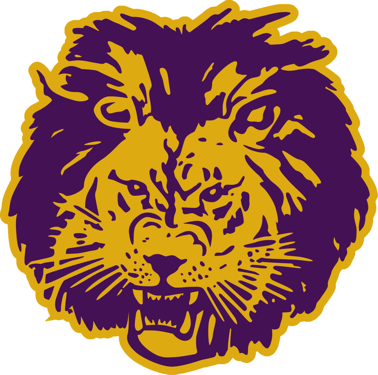 The Central Lyon Lions ScoreStream